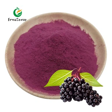 Elderberry Extract Powder