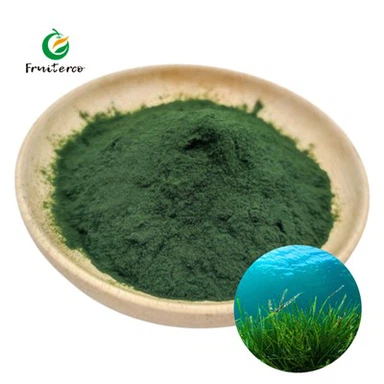 Organisk spirulina -pulver